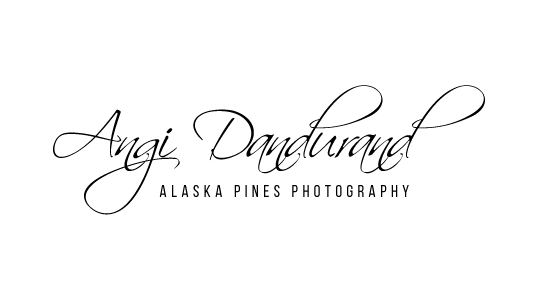AlaskaPinesPhotography logo